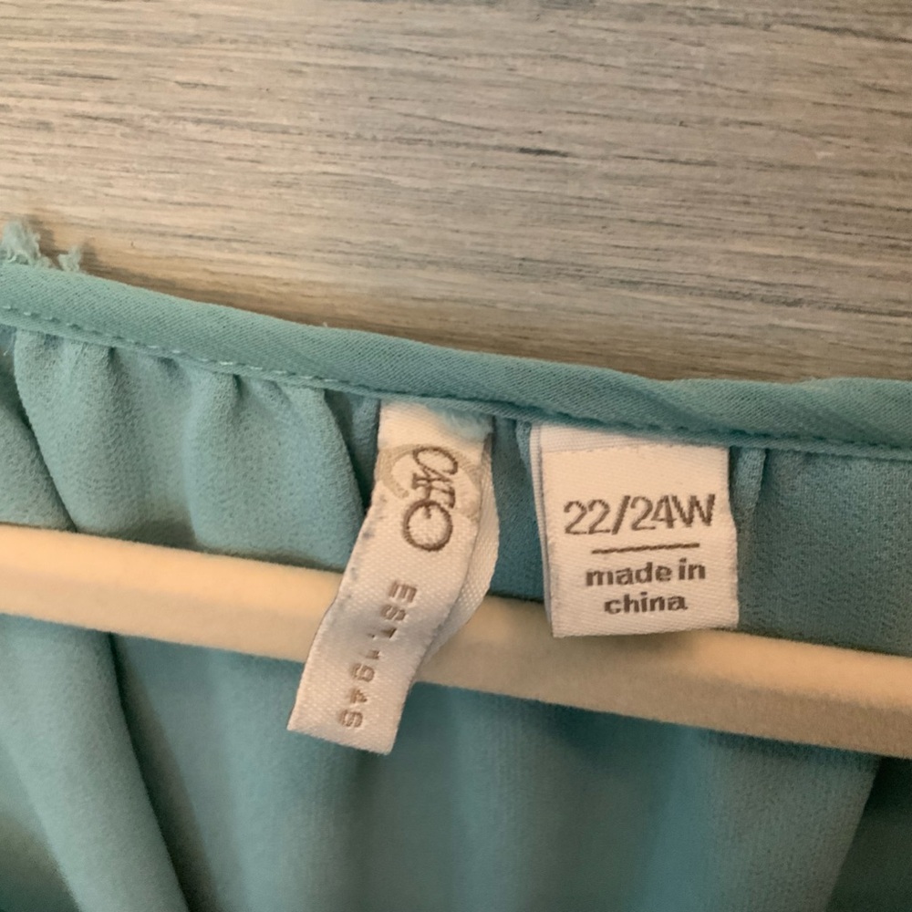 Cato‎ Est. 1946 Seafoam Green Swiss Dot Blouse 22/24 Good Condition - Picture 3 of 8